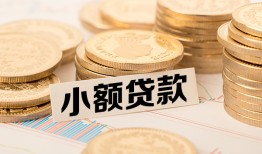 北京个人哪里有小额贷款-北京个人身份证贷款平台-北京个人民间短借